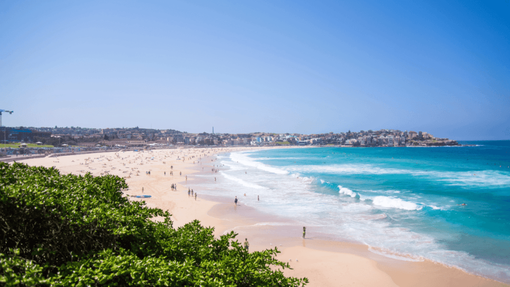 Bondi Beach
